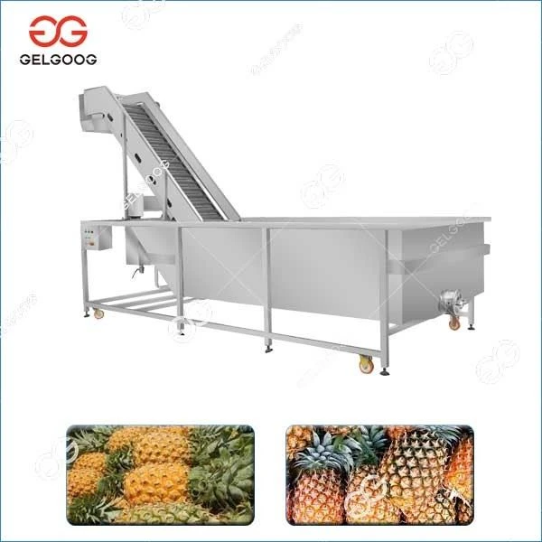 Industrial Pineapple Washing Machine